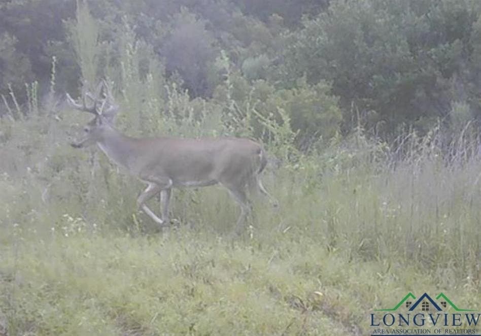 49.77 acres in Texas County - photo 42