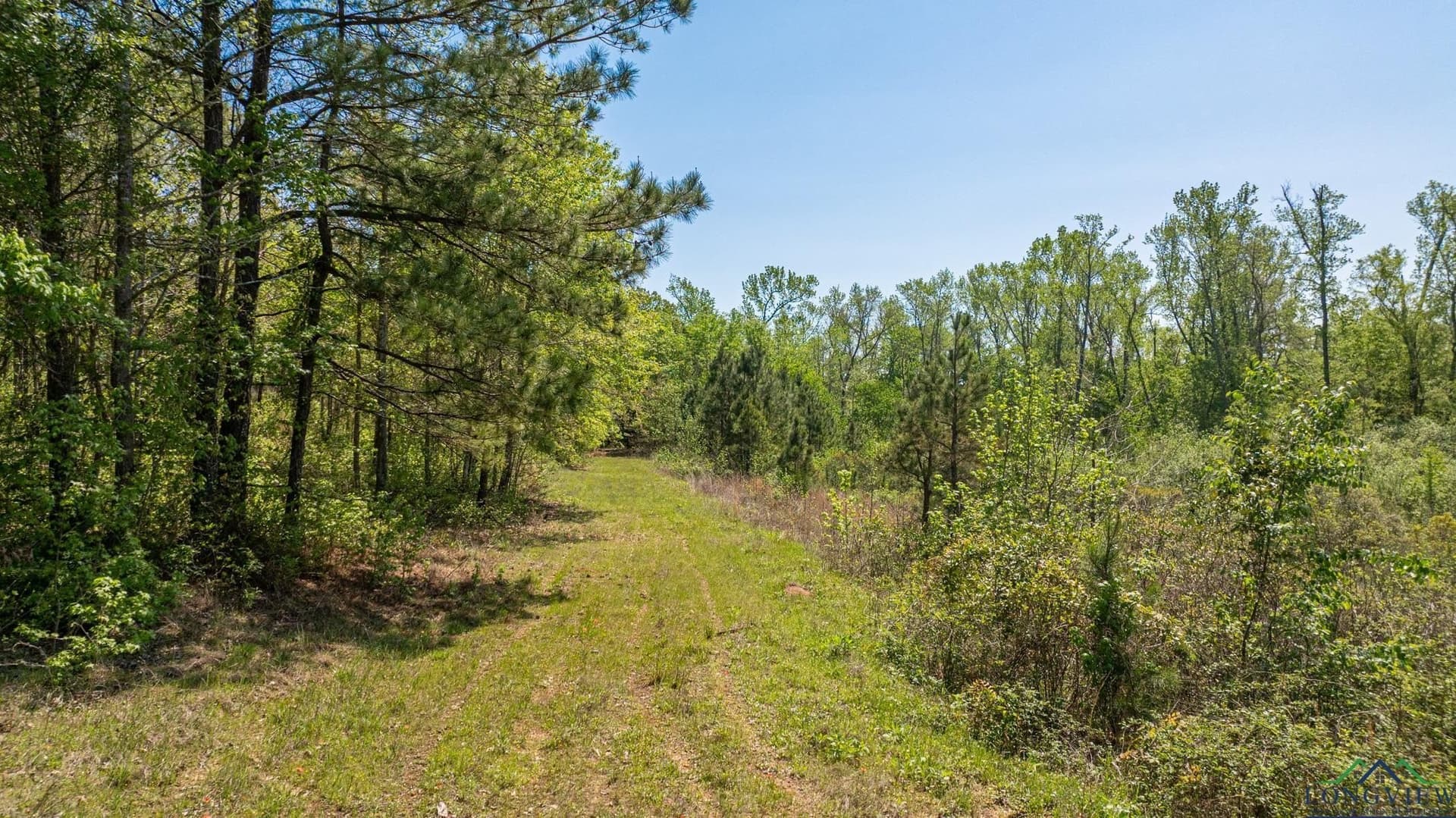 49.77 acres in Texas County - photo 37