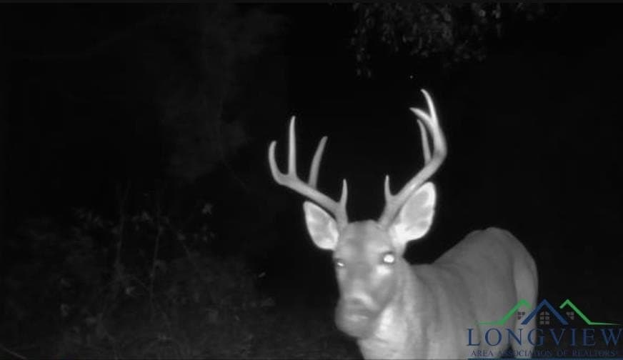 49.77 acres in Texas County - photo 41