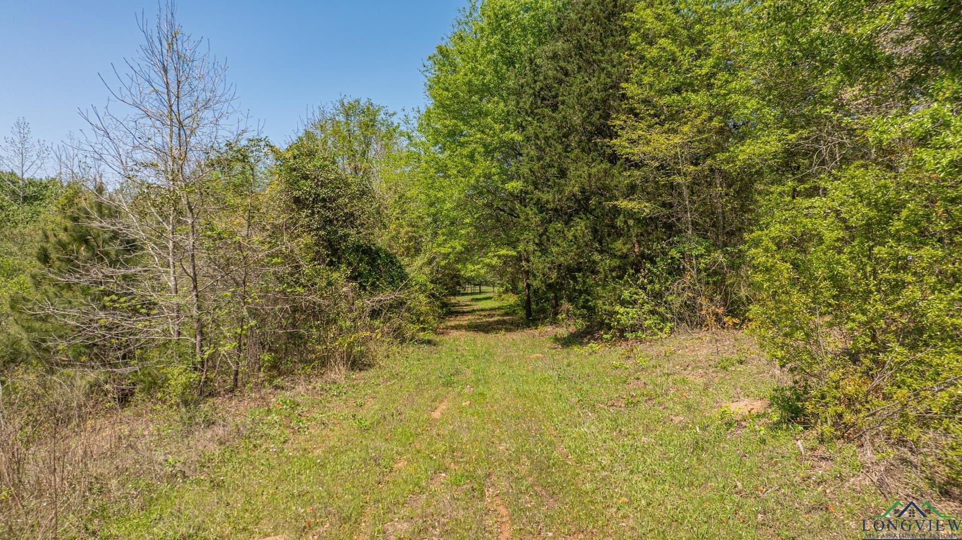 49.77 acres in Texas County - photo 38
