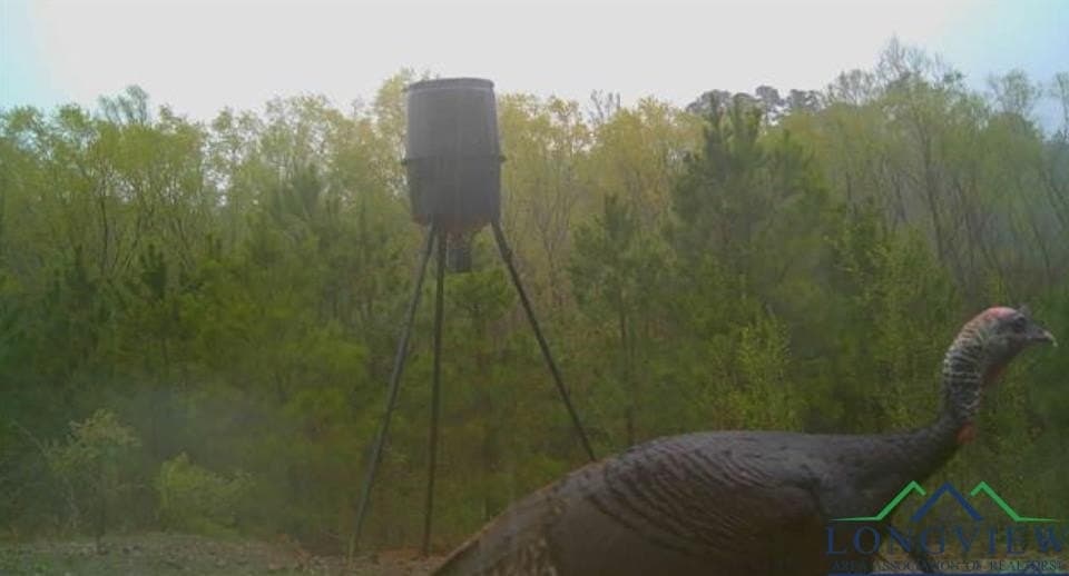 49.77 acres in Texas County - photo 39