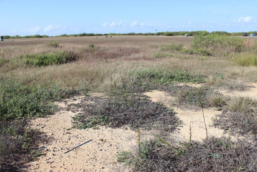0.21 acres in Texas County - photo 7