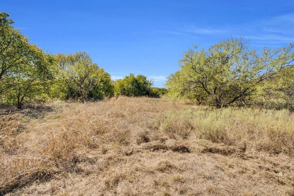 8 acres in Tarrant County - photo 10