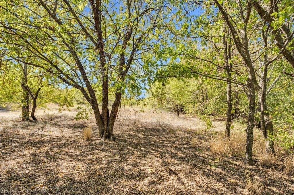 8 acres in Tarrant County - photo 2