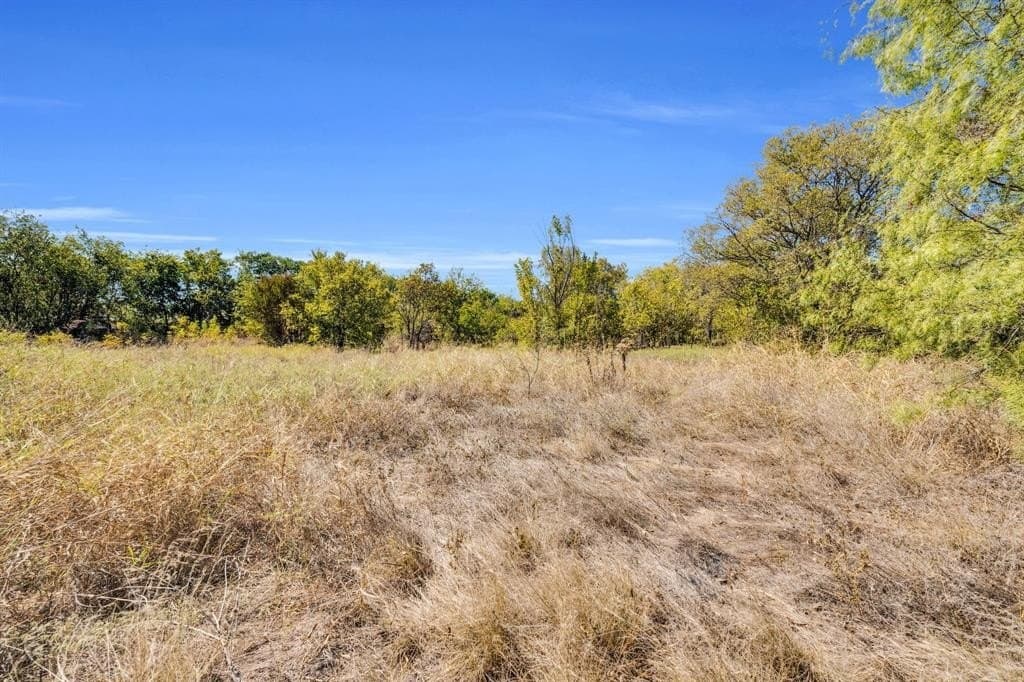8 acres in Tarrant County - photo 7