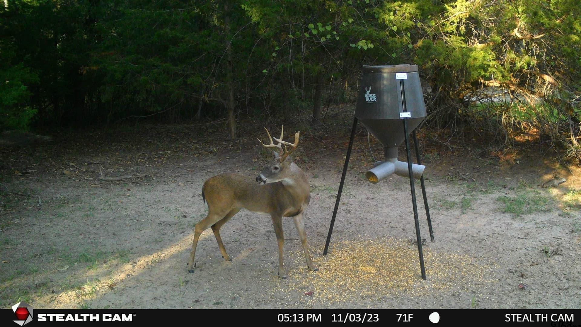 16.71 acres in Smith County - photo 40