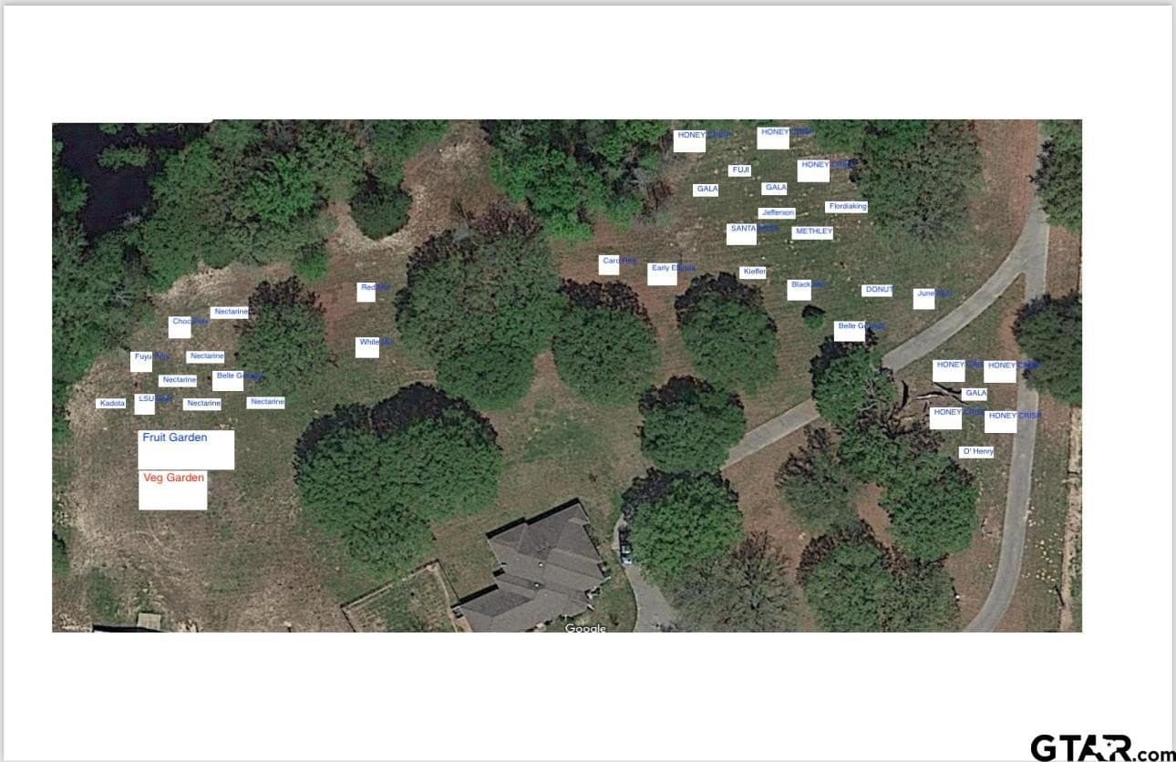 16.71 acres in Smith County - photo 39