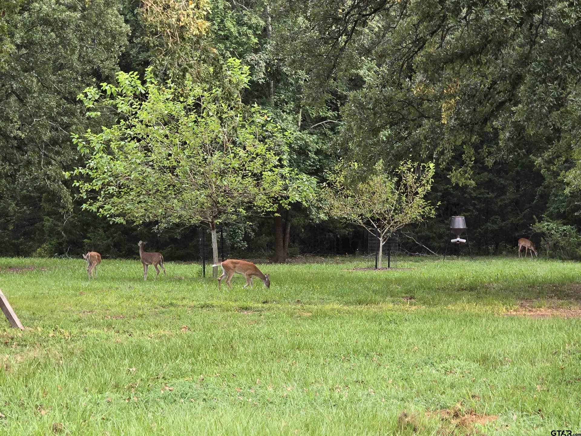 16.71 acres in Smith County - photo 31