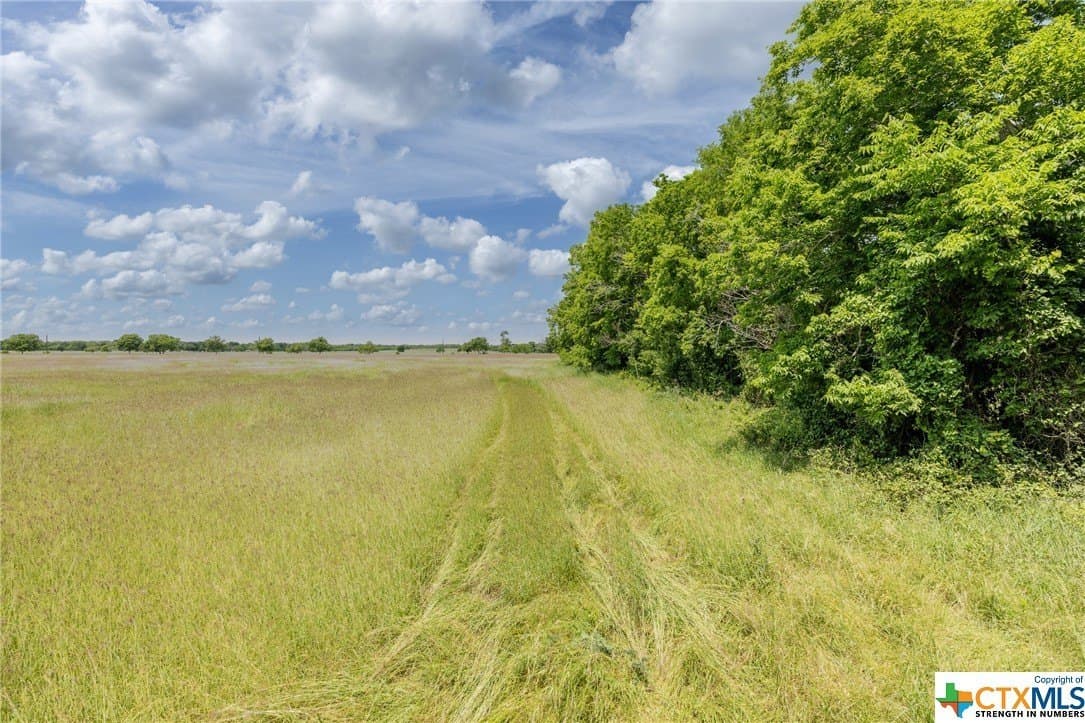 33.96 acres in Gonzales County - photo 11