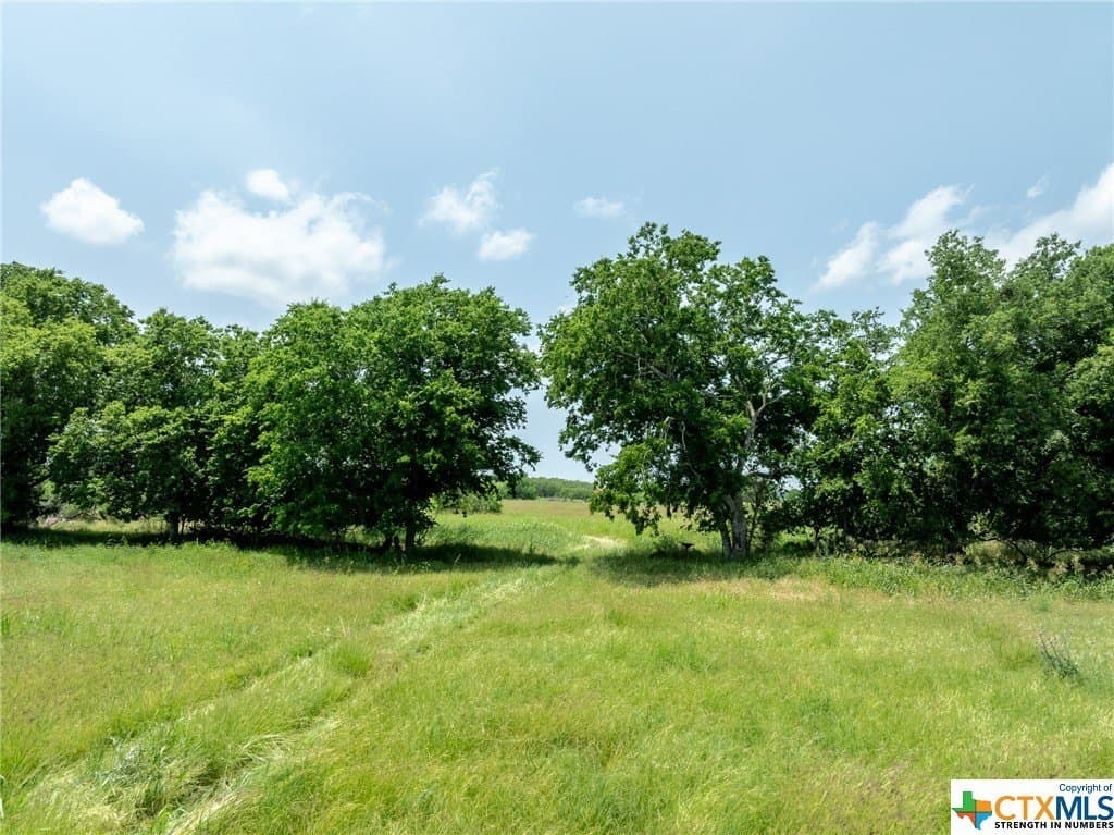 33.96 acres in Gonzales County - photo 26