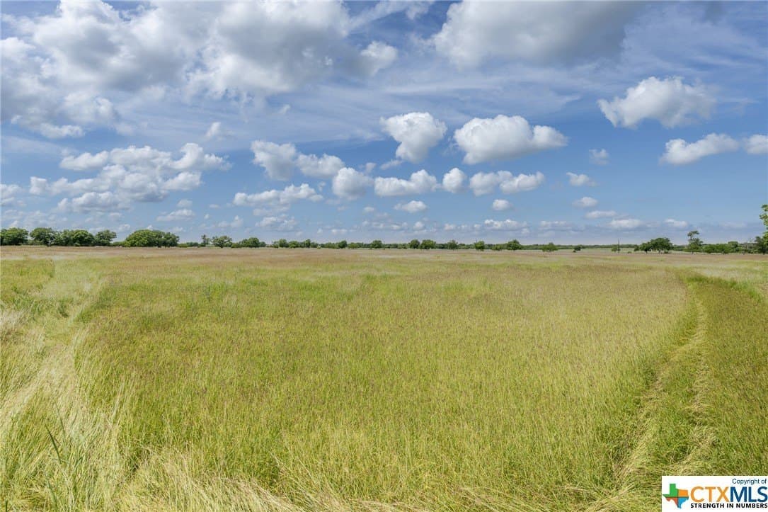 33.96 acres in Gonzales County - photo 10