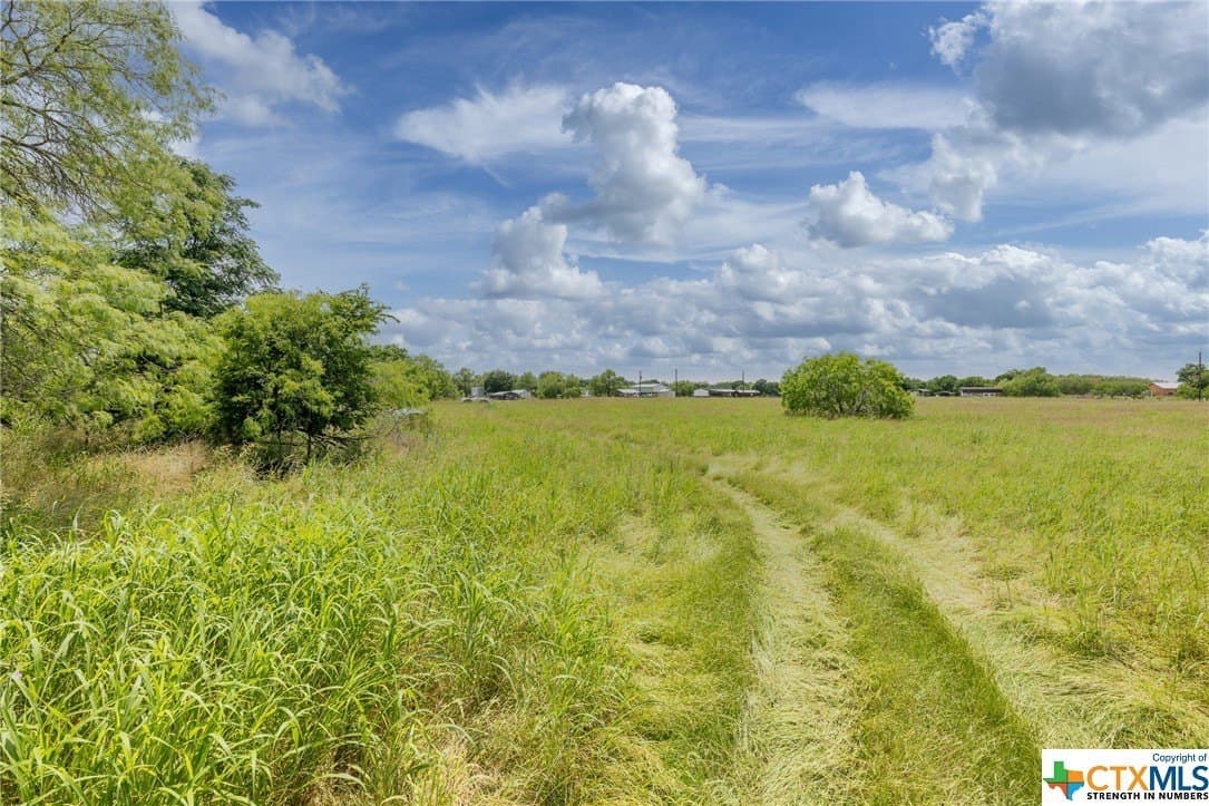 33.96 acres in Gonzales County - photo 4