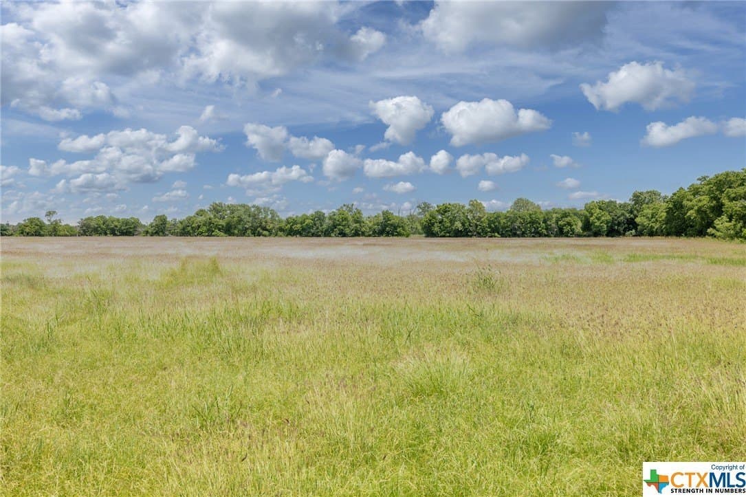 33.96 acres in Gonzales County - photo 8