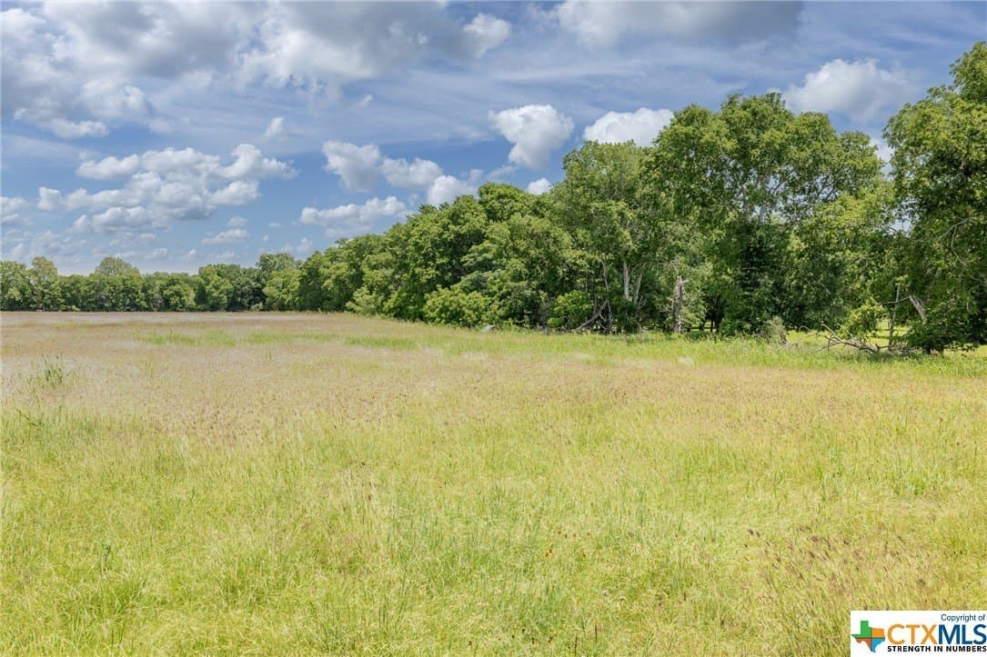 33.96 acres in Gonzales County - photo 7