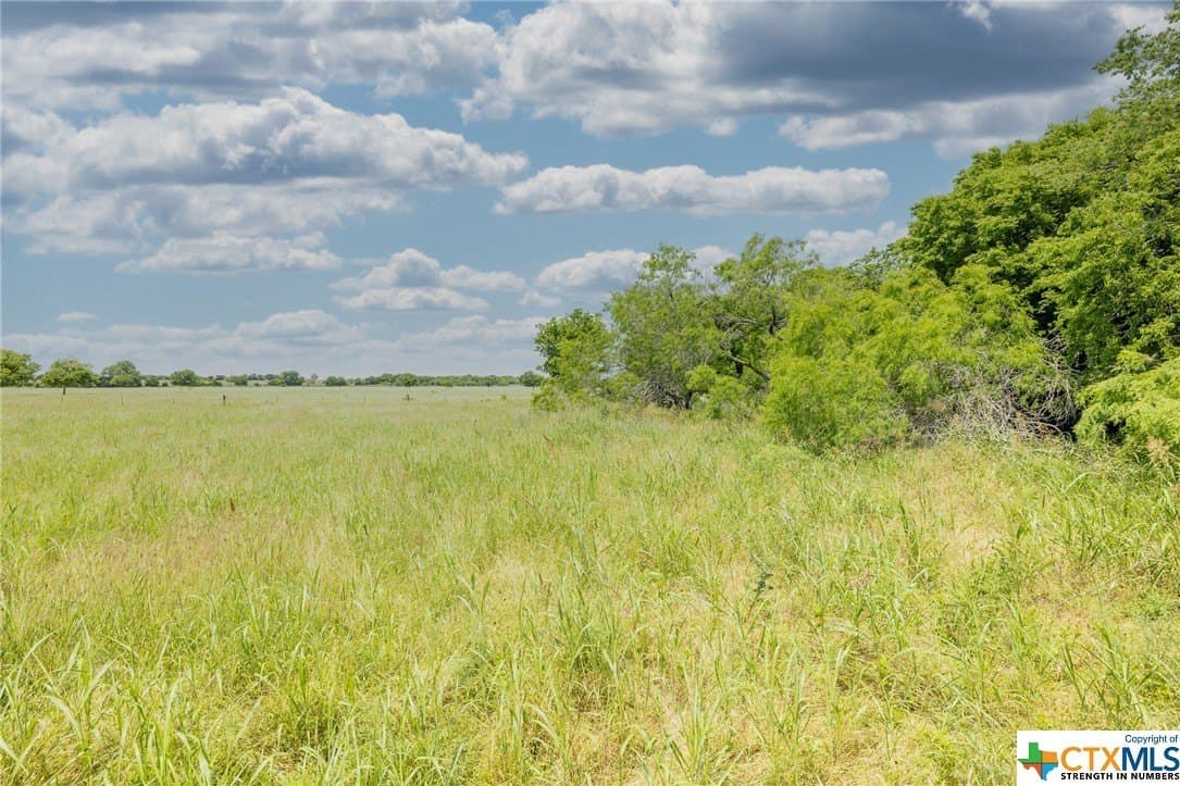 33.96 acres in Gonzales County - photo 6