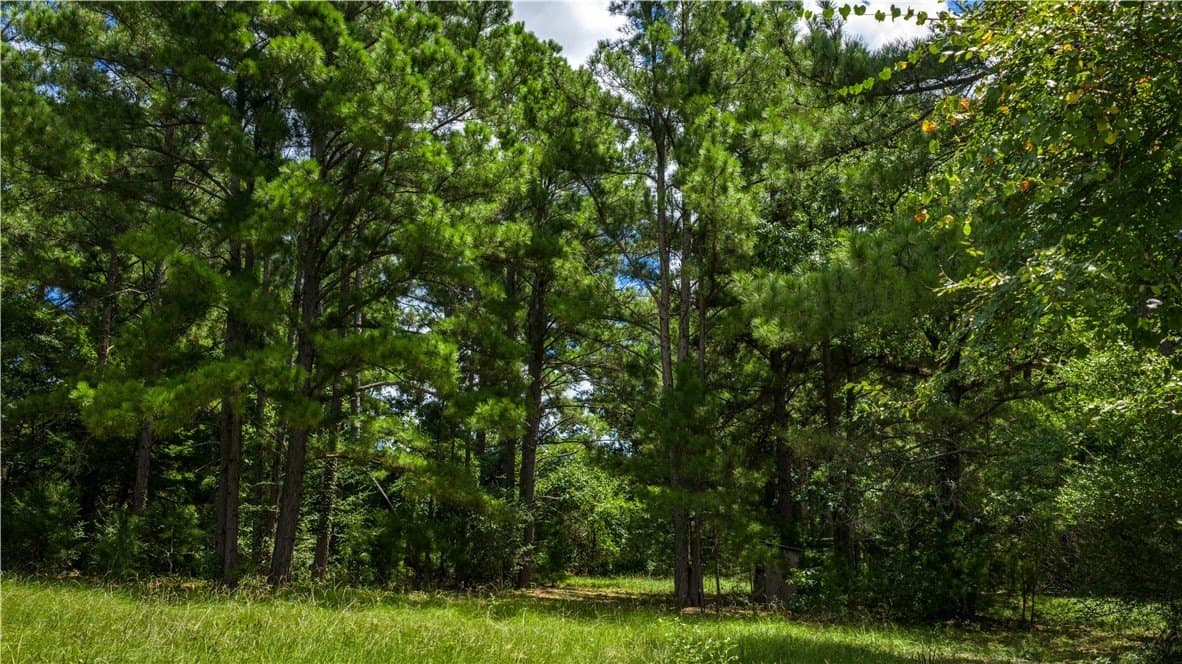 13.5 acres in Madison County - photo 20