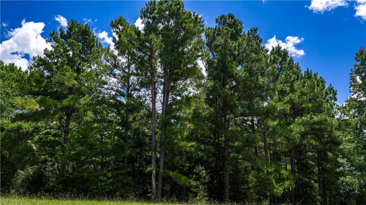 13.5 acres in Madison County - photo 15