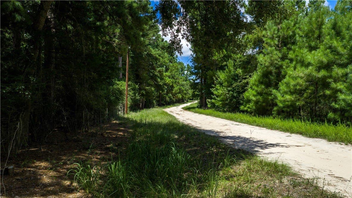 13.5 acres in Madison County - photo 18