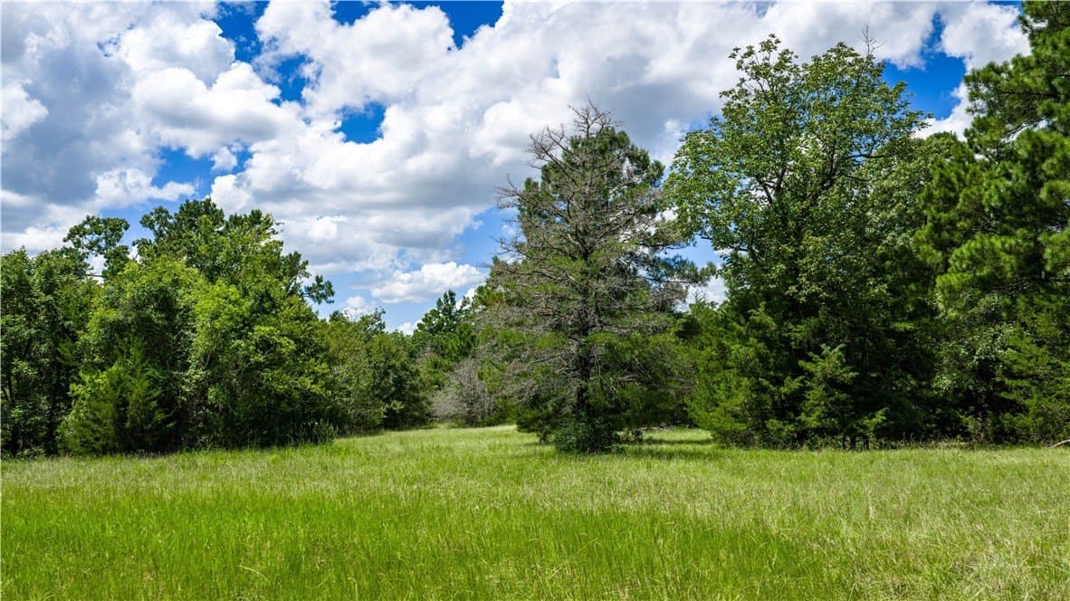 13.5 acres in Madison County - photo 19
