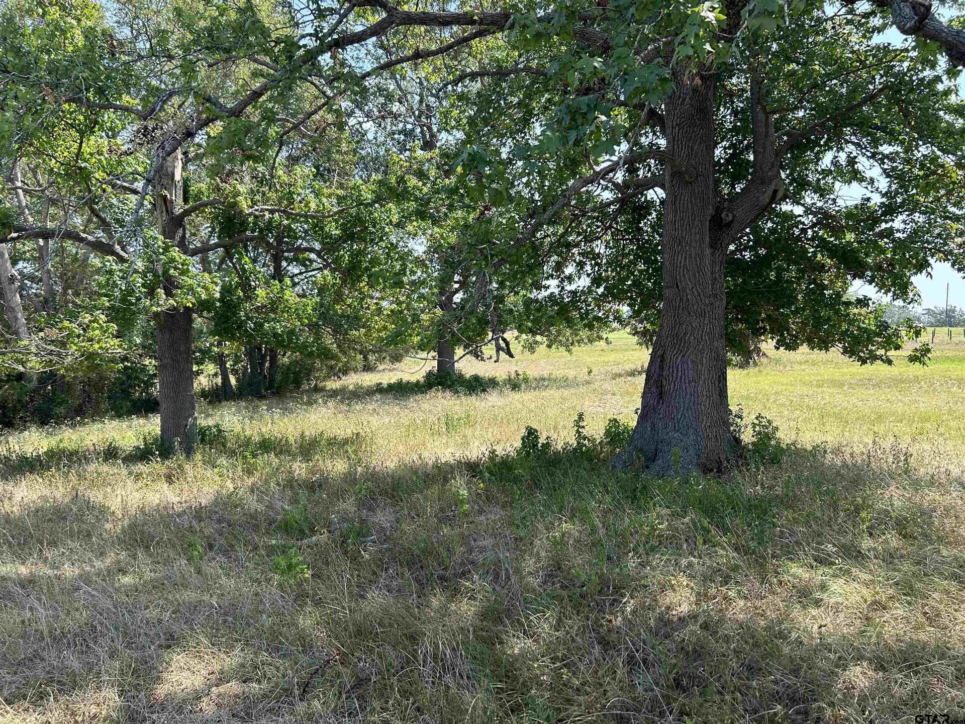 5.57 acres in Smith County - photo 2
