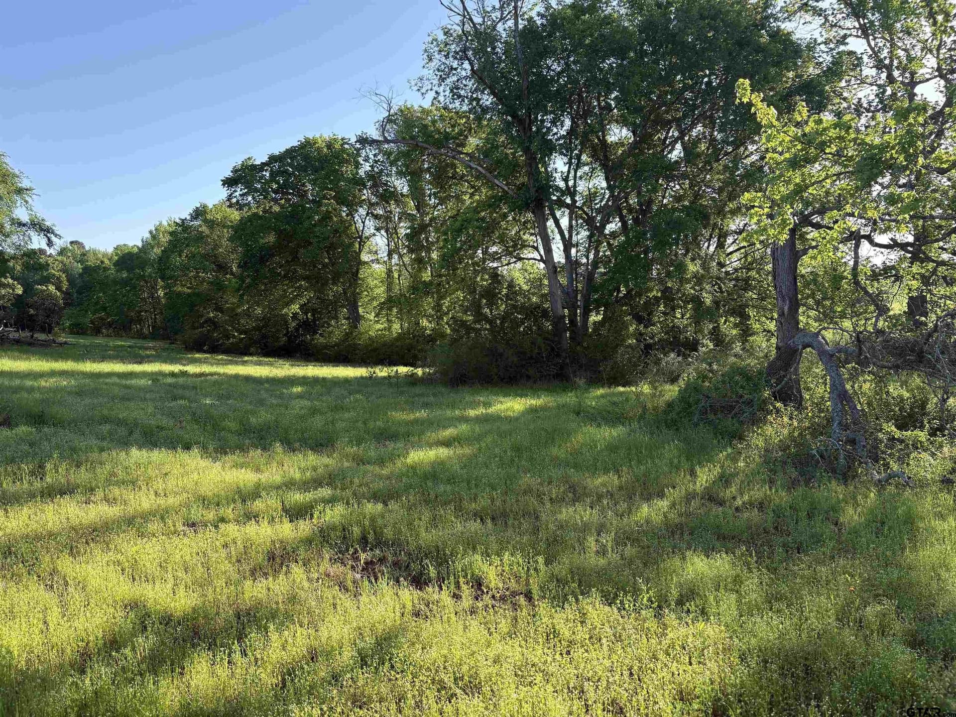 5.57 acres in Smith County - photo 6