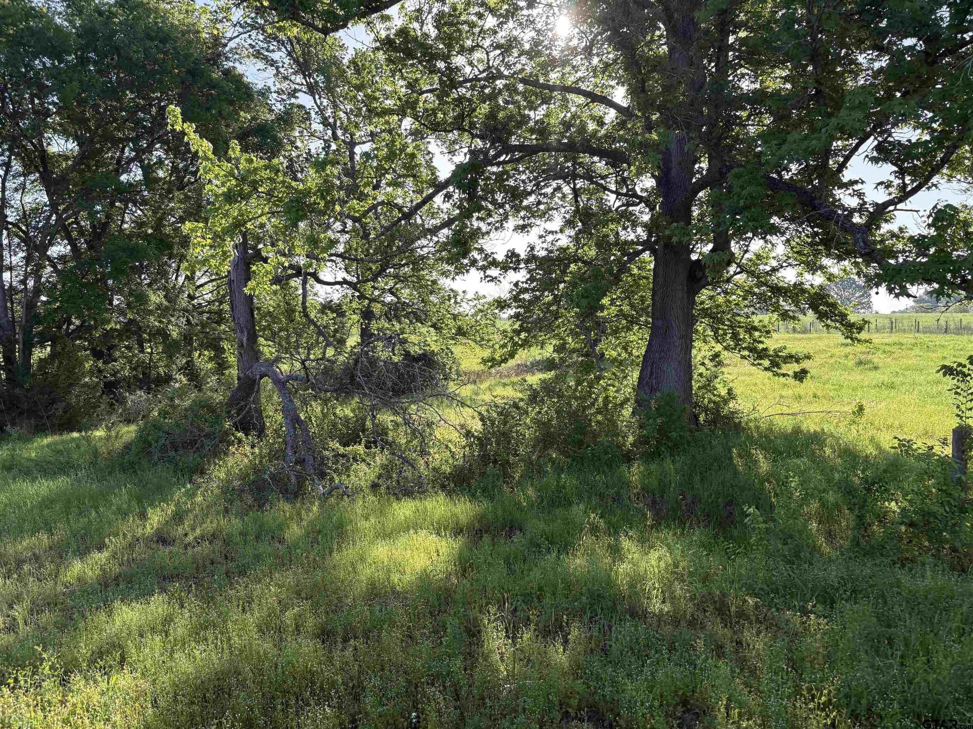 5.57 acres in Smith County - photo 7