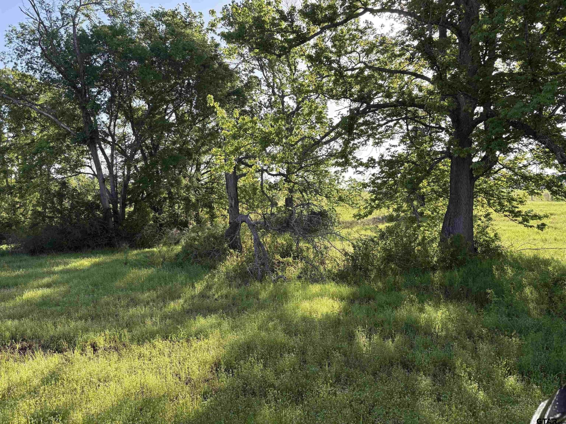 5.57 acres in Smith County - photo 4