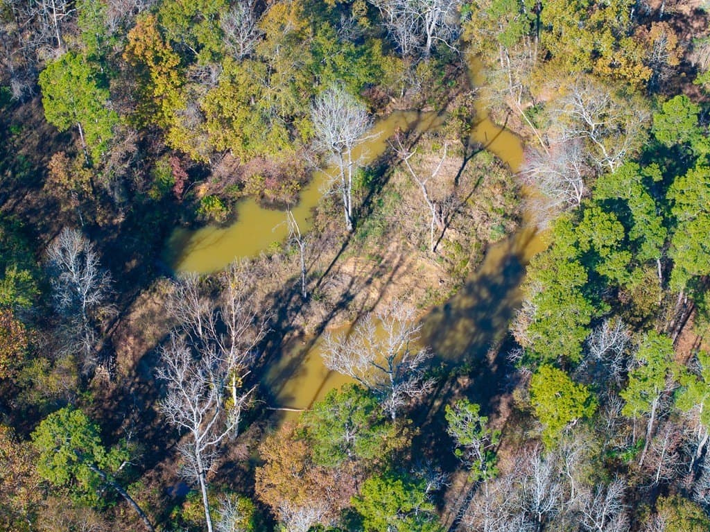 85.86 acres in ANDERSON County - photo 13