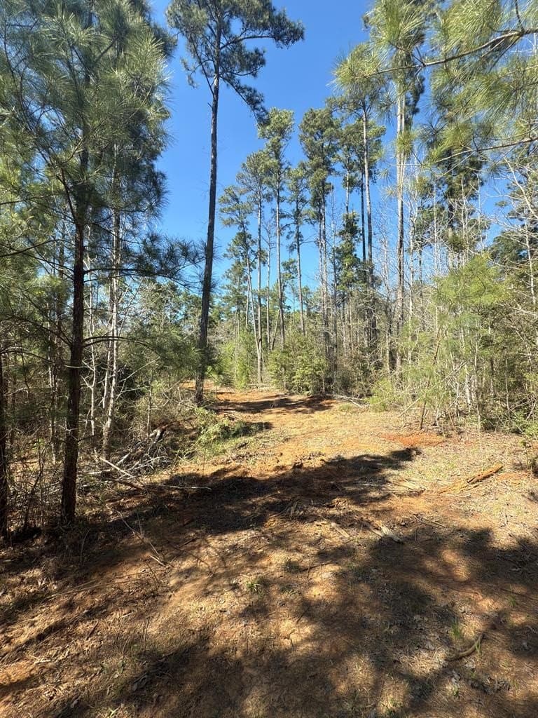 85.86 acres in ANDERSON County - photo 9
