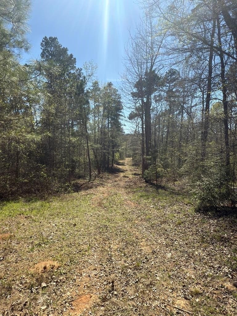 85.86 acres in ANDERSON County - photo 7