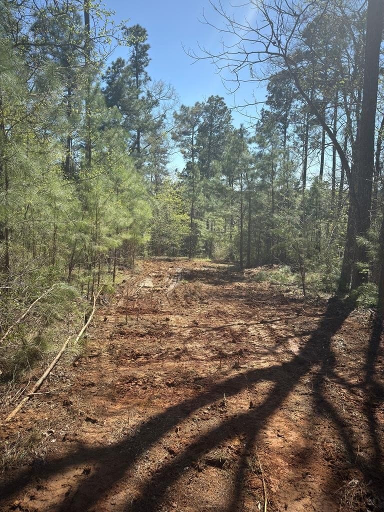 85.86 acres in ANDERSON County - photo 15