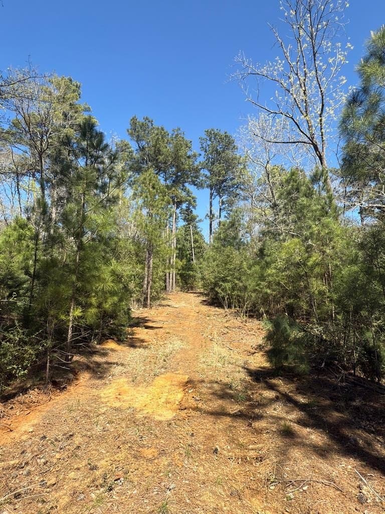 85.86 acres in ANDERSON County - photo 19