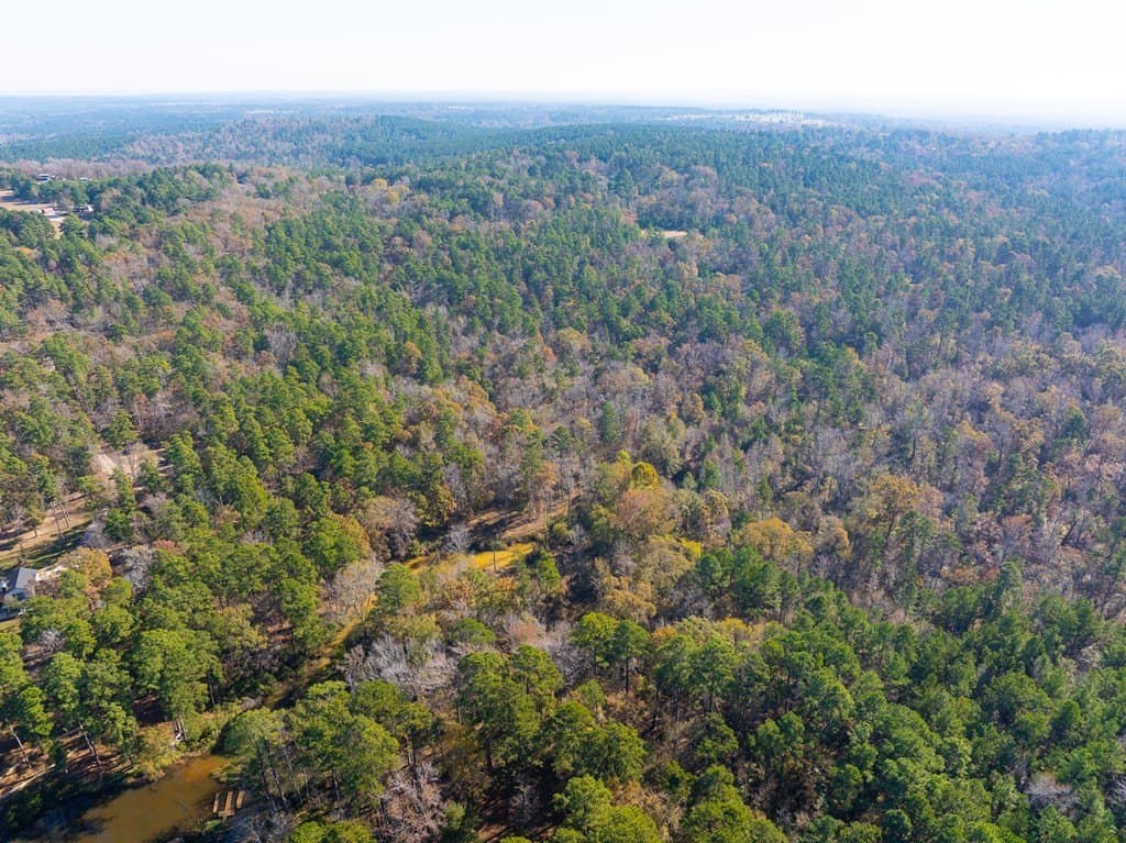 85.86 acres in ANDERSON County - photo 11