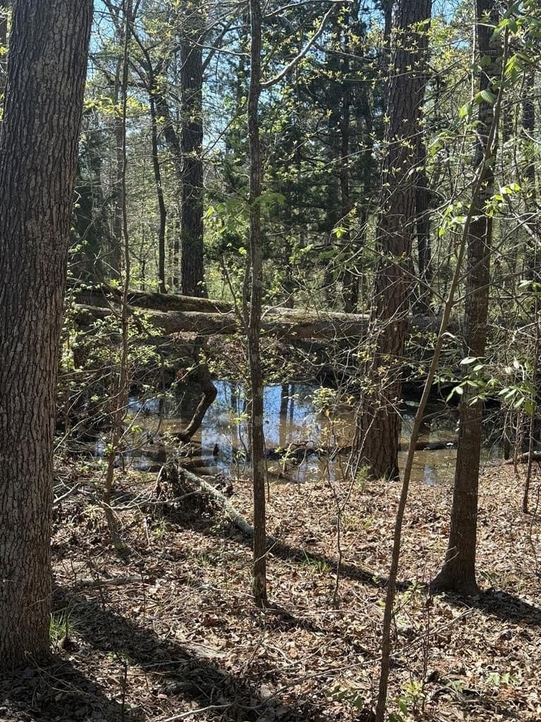 85.86 acres in ANDERSON County - photo 16