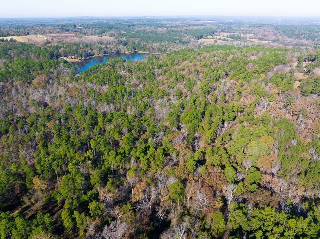85.86 acres in ANDERSON County - photo 6