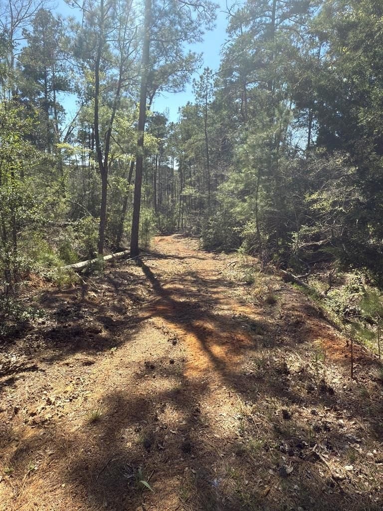 85.86 acres in ANDERSON County - photo 17