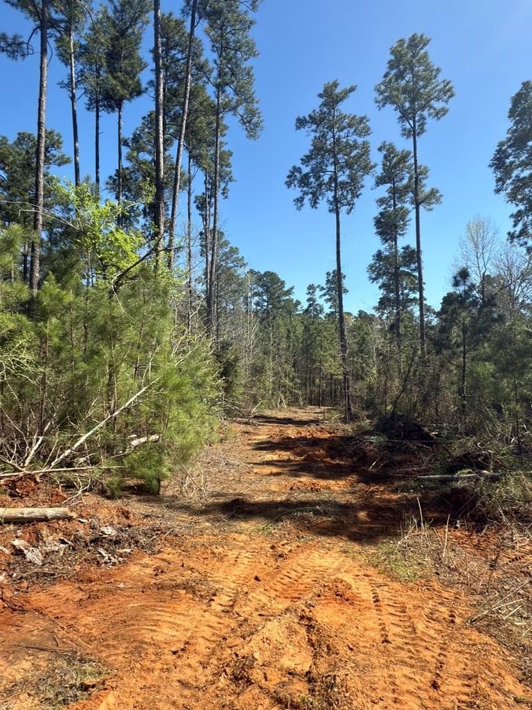 85.86 acres in ANDERSON County - photo 18
