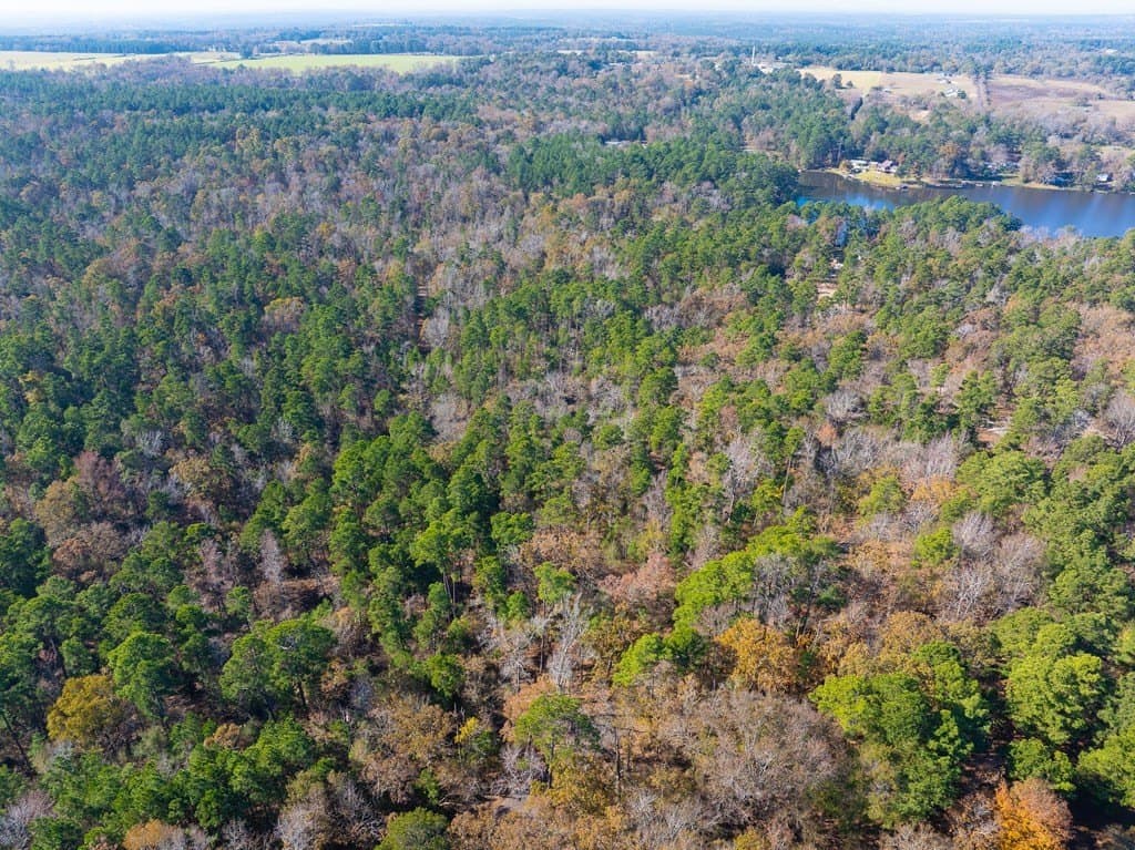 85.86 acres in ANDERSON County - photo 10