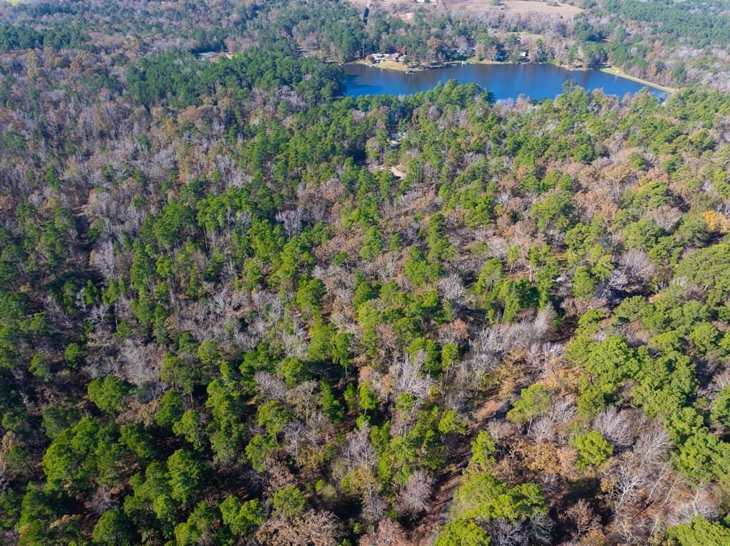 85.86 acres in ANDERSON County - photo 8
