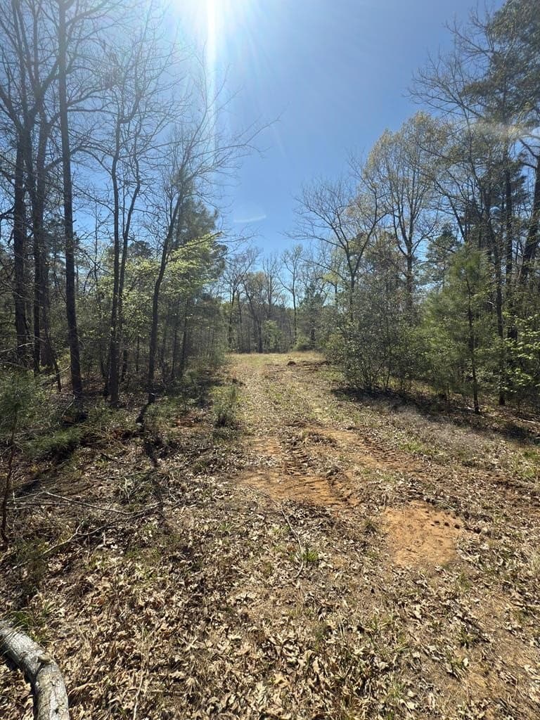 85.86 acres in ANDERSON County - photo 5