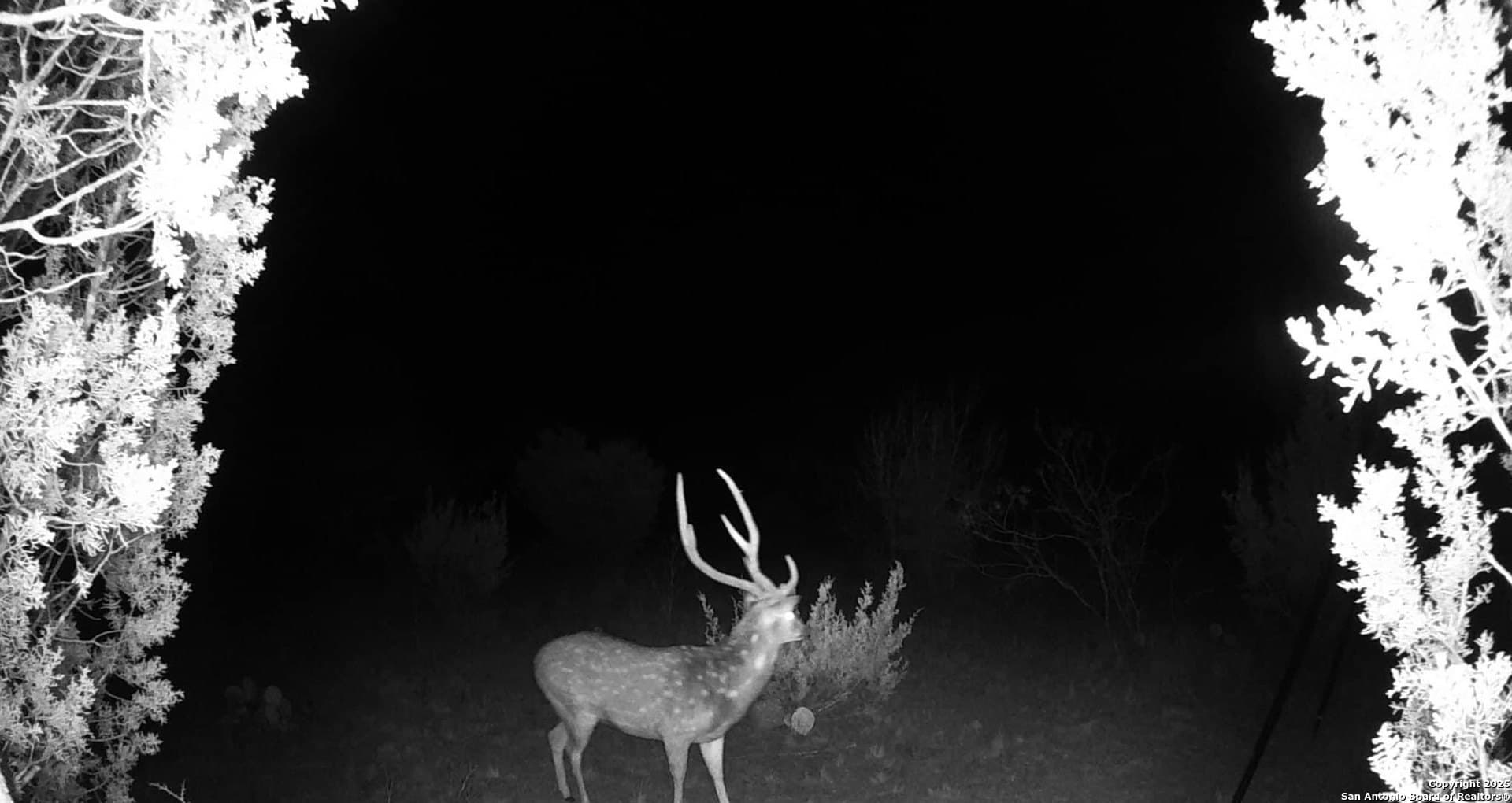 Oak Bend Ranch, LOT 34