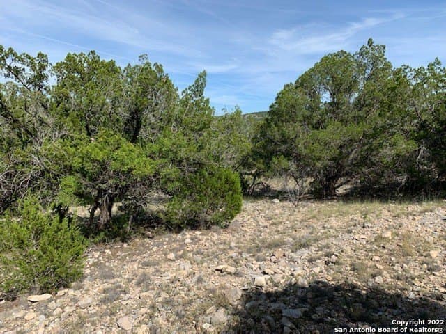 25.47 acres in Edwards County - photo 5