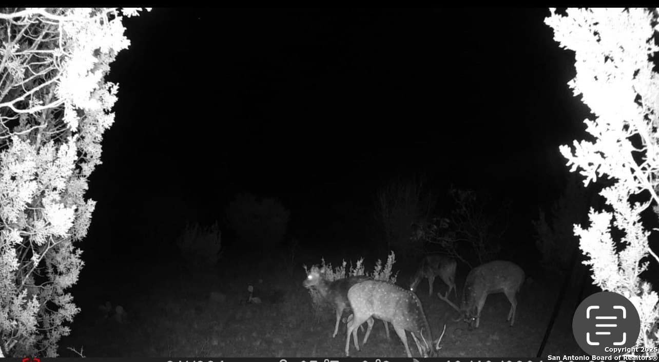 25.47 acres in Edwards County - photo 17