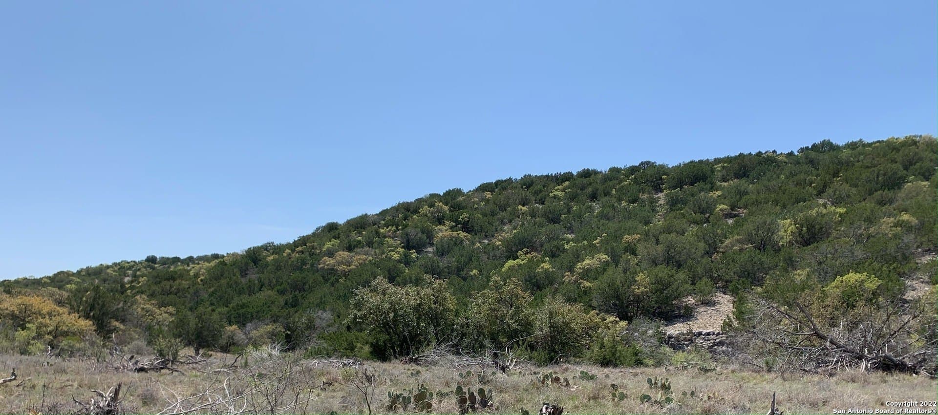 25.47 acres in Edwards County - photo 3