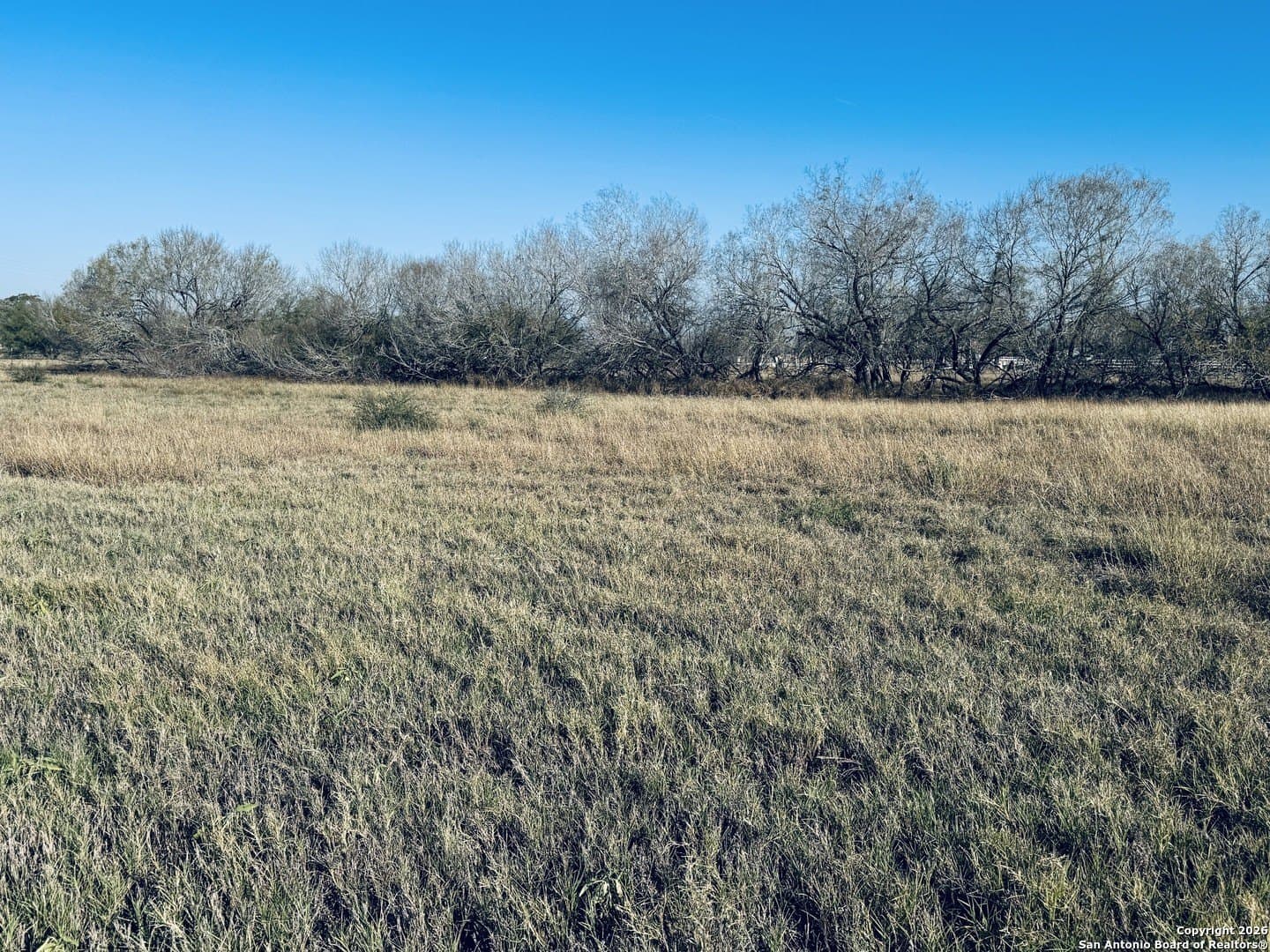 22 acres in Atascosa County - photo 3