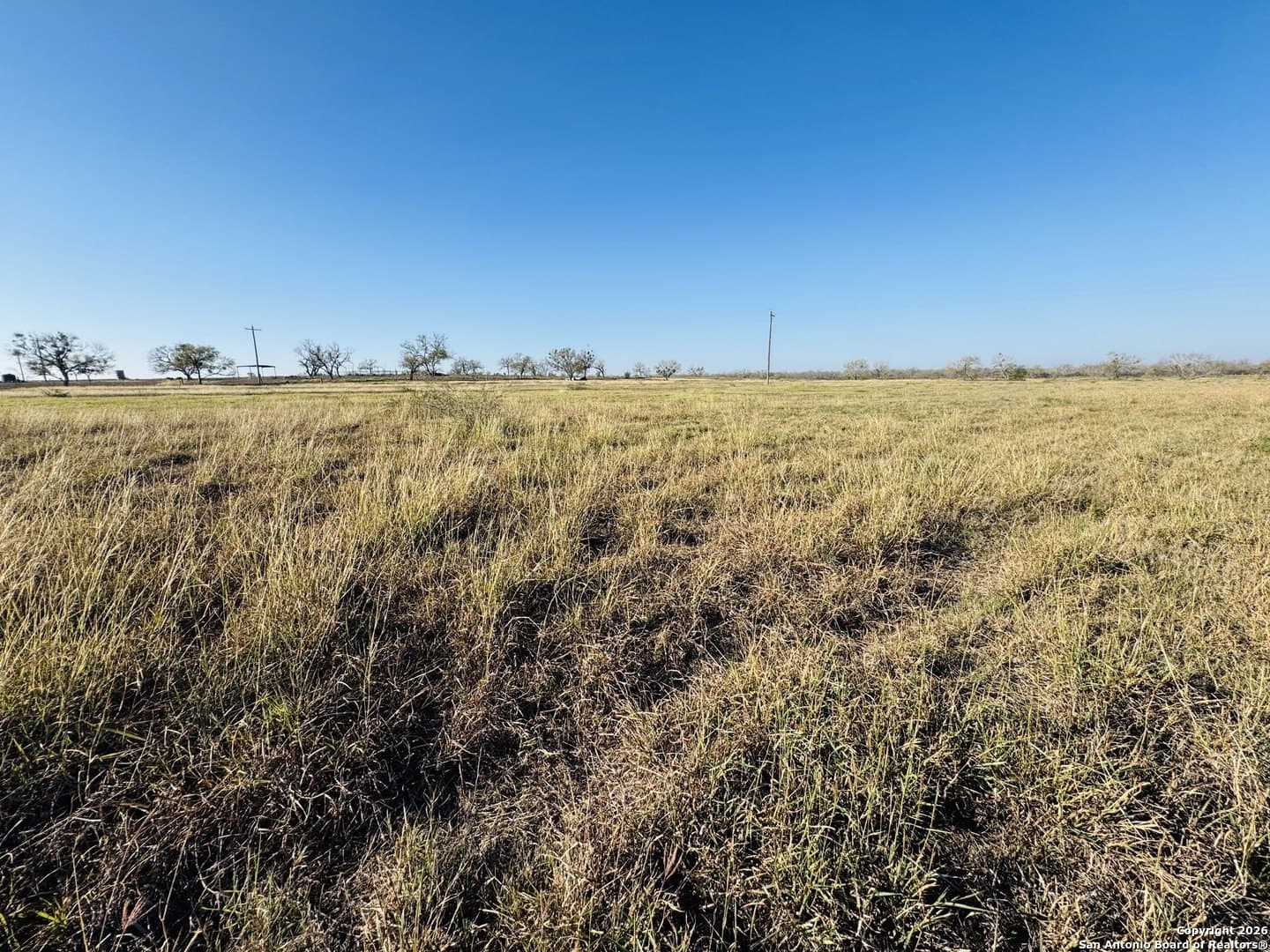 22 acres in Atascosa County - photo 2