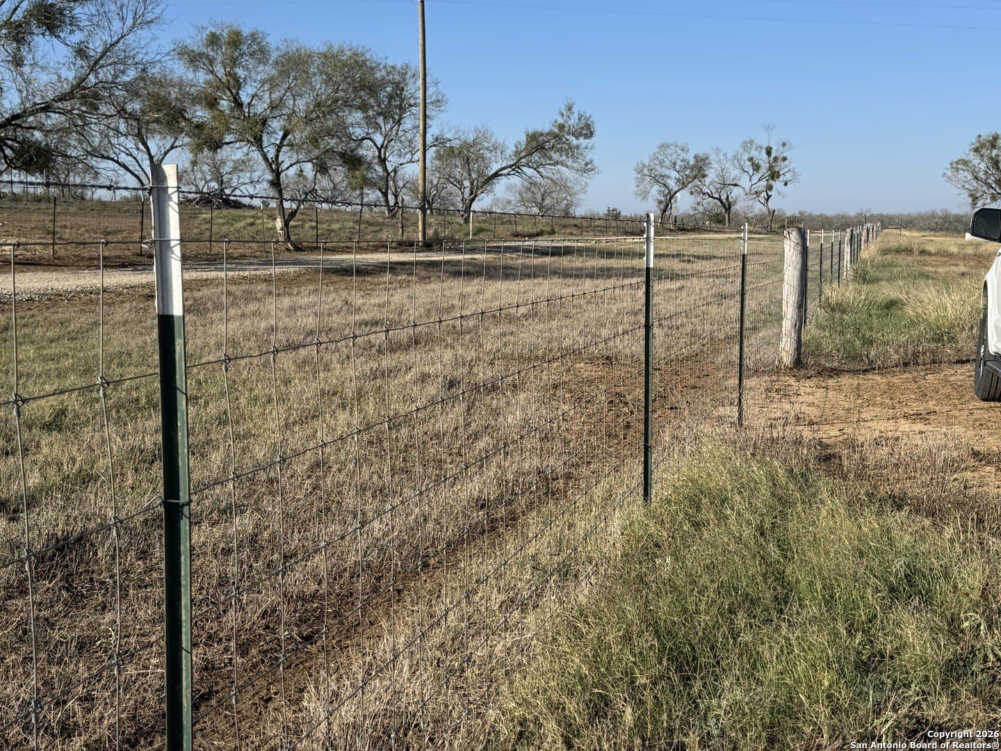 22 acres in Atascosa County - photo 5
