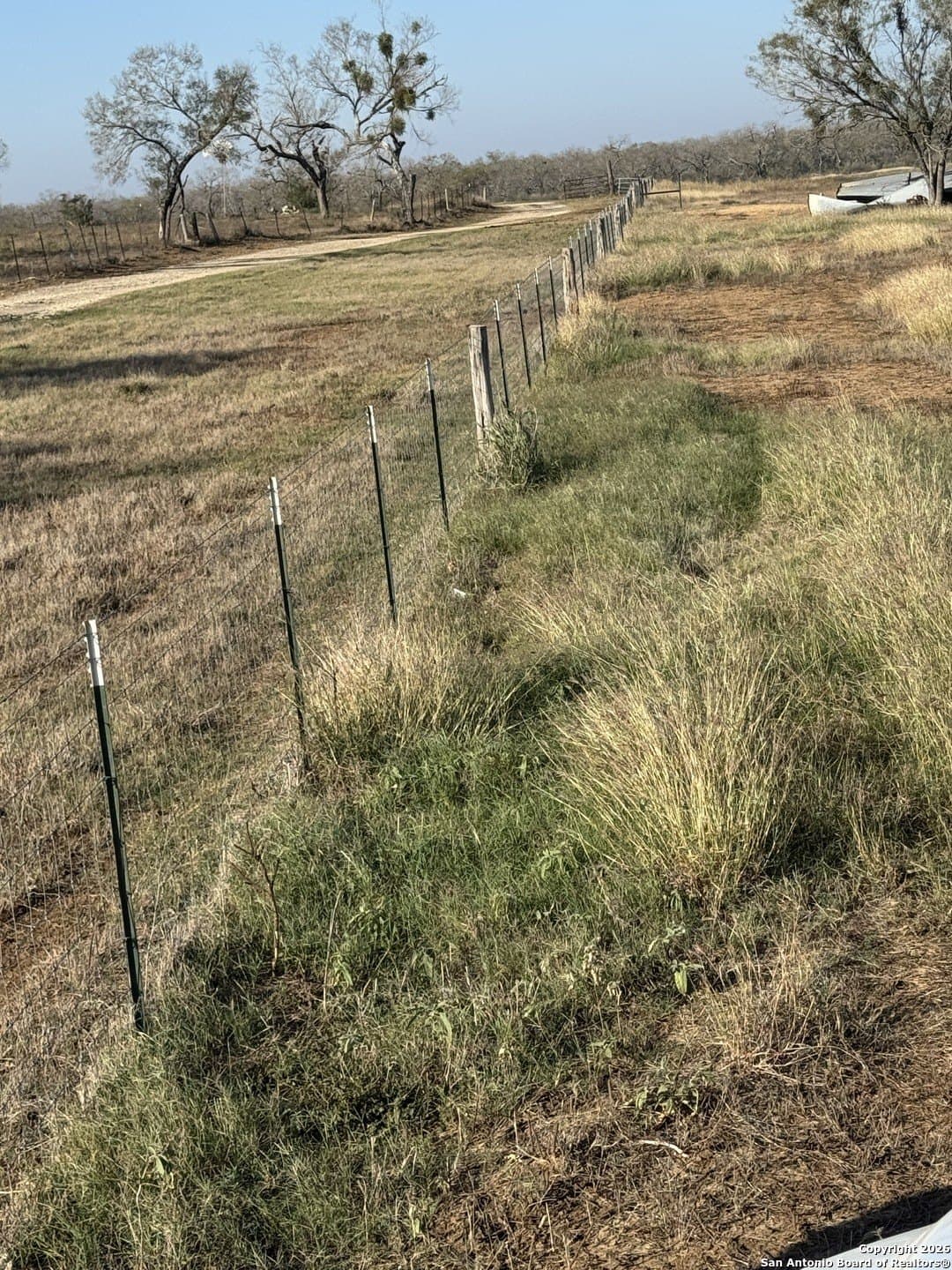 22 acres in Atascosa County - photo 4