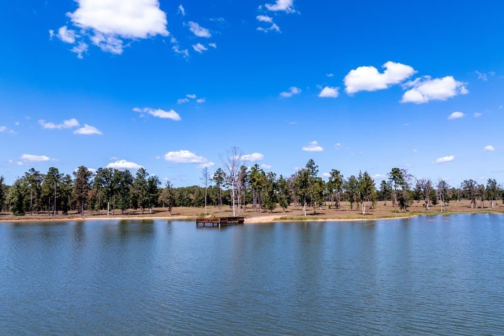 128 acres in HOUSTON County - photo 2