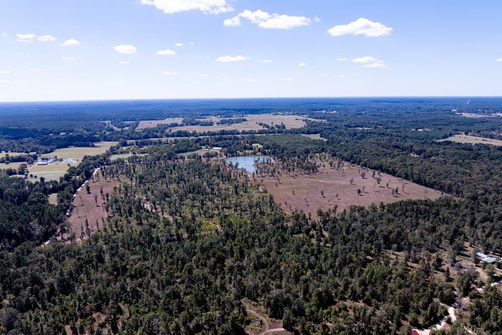 128 acres in HOUSTON County - photo 37